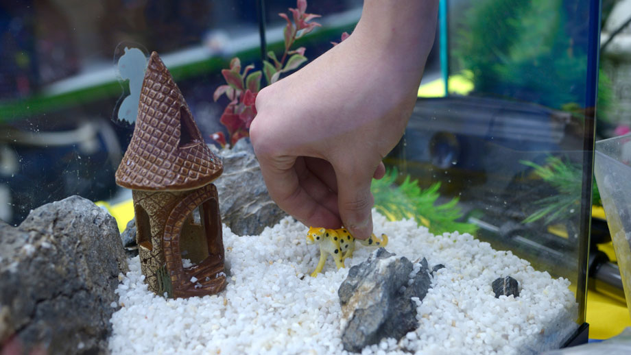 Leeres Aquarium mit Deko
