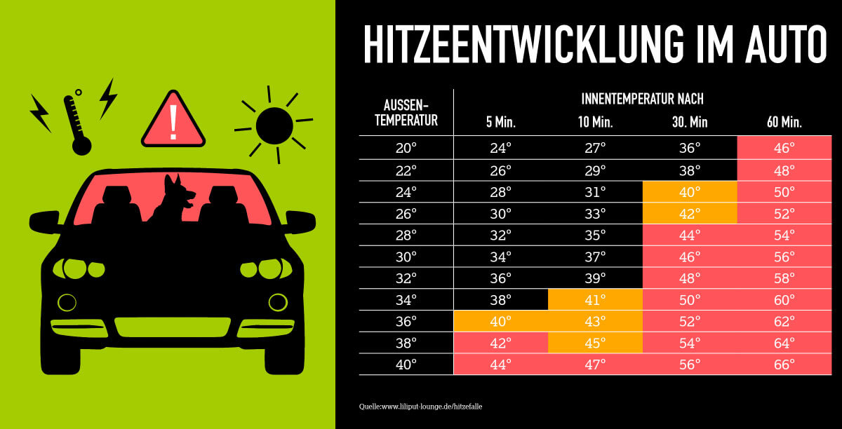 Hund bei Hitze im Auto: Darf ich die Scheibe einschlagen?